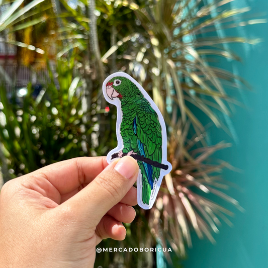 Sticker Cotorra Puertorriqueña | Ave Endémica en Peligro | Vinil Premium