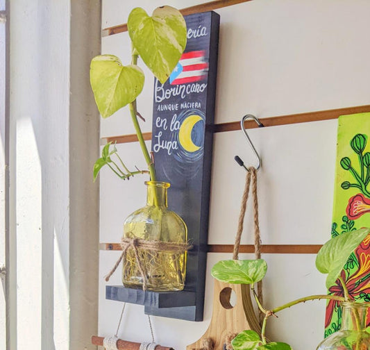 Wall Piece with Plant | Boricua on the Moon | I released