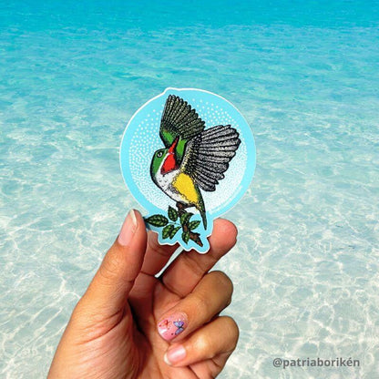 Sticker San Pedrito en Vuelo | Ave Endémica de Puerto Rico | Vinil Resistente