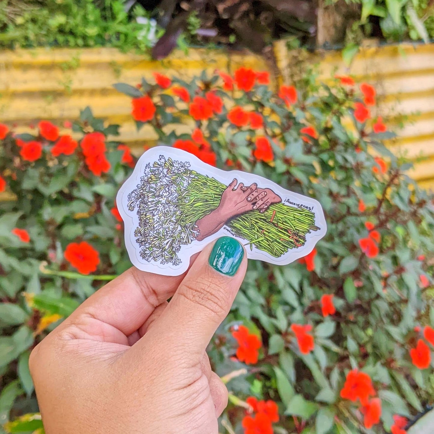 Sticker Don Saúl el Vendedor de Azucenas | Viejo San Juan | Vinil Premium